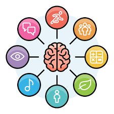 Les 8 intelligences multiples d’Howard Gardner devenues les 8 intelligences fonctionnelles d’ADOK’A Learning